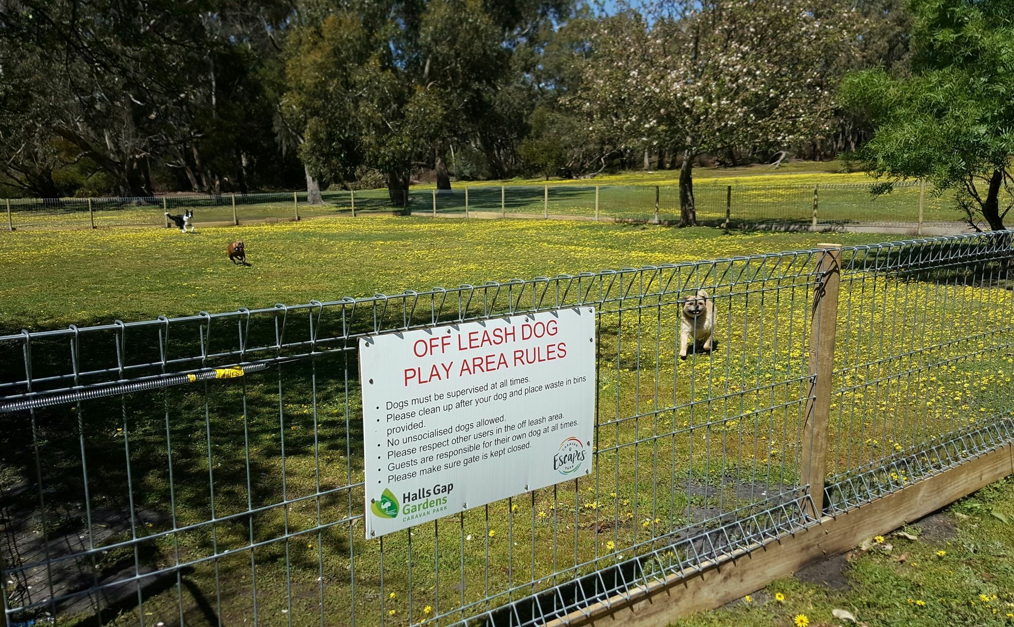 Breeze Holiday Parks - Grampians ホールズギャップ エクステリア 写真